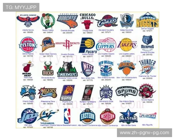 NBA资料大全一般包含哪些内容