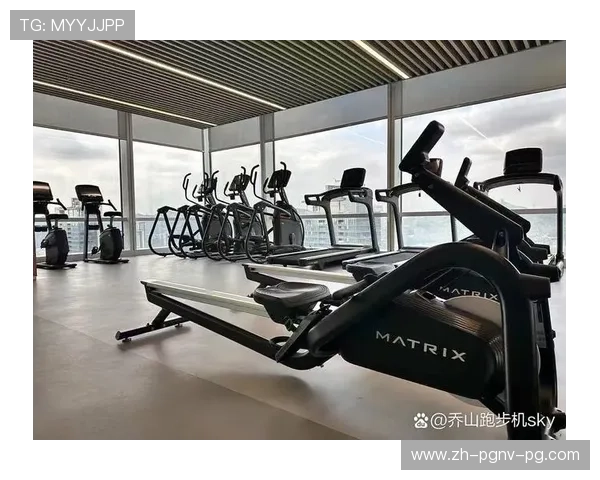 室内健身器材厂家推荐：值得信赖的制造商与品牌