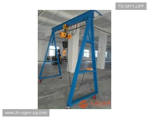 龙门架深蹲变式打造立体臀型全解析